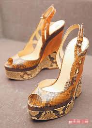 Image result for 2009早春