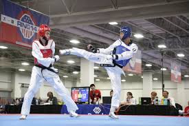 Image result for Taekwondo Athletes Program USA