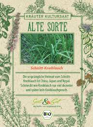 Image result for Schnittknoblauch