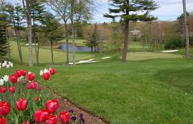 Image result for Ipswich Open Ultimate