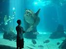world best aquariums