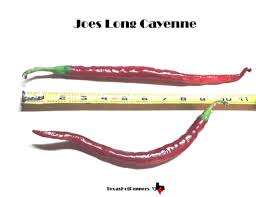 Afbeeldingsresultaat voor joe long cayenne hot pepper