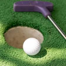 Image result for Amber Valley Gc