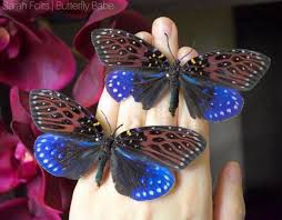 Attēlu rezultāti vaicājumam “Zygaenidae”