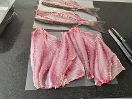 Image result for Pomadasys commersonnii