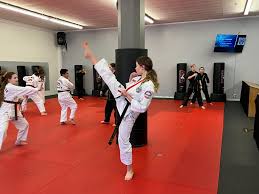 Image result for ATA Martial Arts Mobile