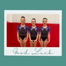 Image result for South Essex Gymnastics Club