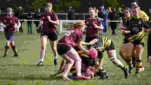 Image result for Braintree Rugby Union Football Club