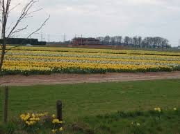 Image result for Holbeach and Fenland