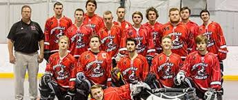 Image result for Dundee Ducks inline roller hockey club