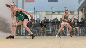 Image result for Dartmouth Badminton Club