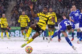 Image result for Leicester City Tornadoes