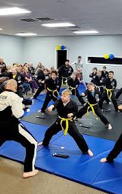 Image result for Vision Martial Arts