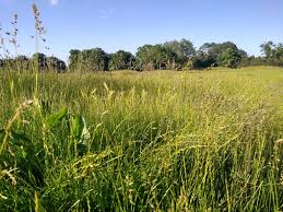 Image result for Whitewebbs Cycling Club