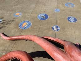 Image result for Watford & Acton Octopush Club