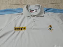 Image result for Llansamlet Bowls Club