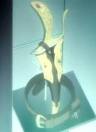 「ジョージ・エヴァンス ドラゴンクライシス!」の画像検索結果