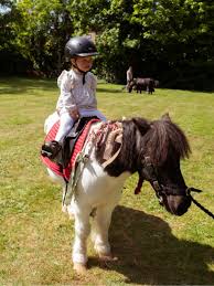 Image result for Weybridge Equestrian Centre