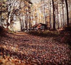 Image result for Fleet Ibex Field Archery Club