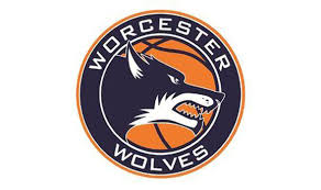 Image result for Worcester Wolves Basketball Club