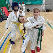 Image result for Surrey Taekwondo