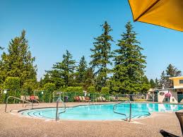 Image result for Cedars Badminton Club