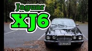 Image result for Silver Birch 1987 Jaguar