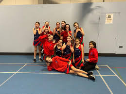 Image result for Red Dragon Netball Team