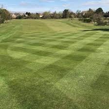 Image result for Falkirk Tryst Golf Club