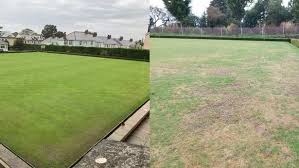 Image result for Plymouth (Sir Francis Drake) Bowling Club