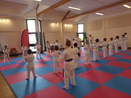 Image result for Oxford Karate Institute