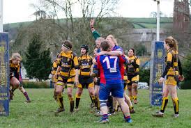 Image result for Totnes Rugby Club