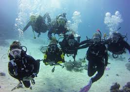 Image result for Bedford Scuba Divers