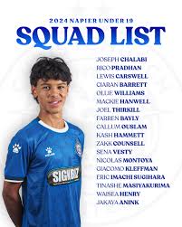 Image result for Christchurch United Fc