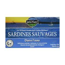 Image result for Wild Water Planet