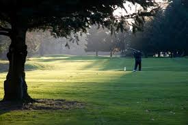 Image result for Bellingham Golf Club