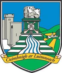 Image result for University Of Limerick Gaa Hurling Club