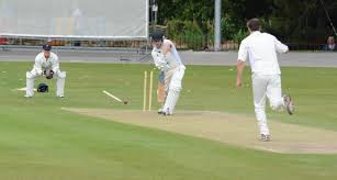 Image result for Chesterfield Cricket Club