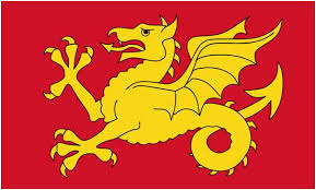 Image result for Wessex Warlocks Quadball