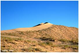 Image result for Dearne Valley Devils