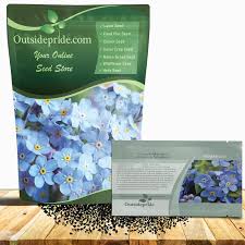 Attēlu rezultāti vaicājumam “Myosotis stricta fruit”