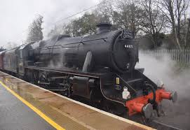 Image result for Biggleswade Sc