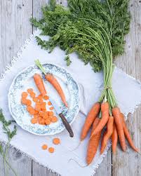 Attēlu rezultāti vaicājumam “Daucus carota subsp. carota fruit”