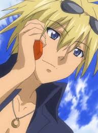 「サルバトーレ・ドニ カンピオーネ！」の画像検索結果