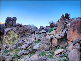 Attēlu rezultāti vaicājumam “Bryum funkii”