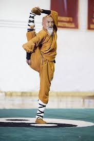 Image result for kung fu