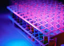 Toxicology Studies