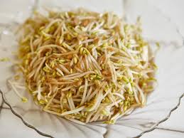 Image result for bean sprout