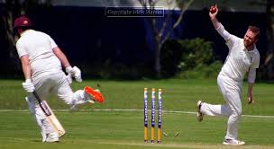 Image result for Bere Regis Cricket Club
