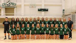Image result for Calne Volleyball Club